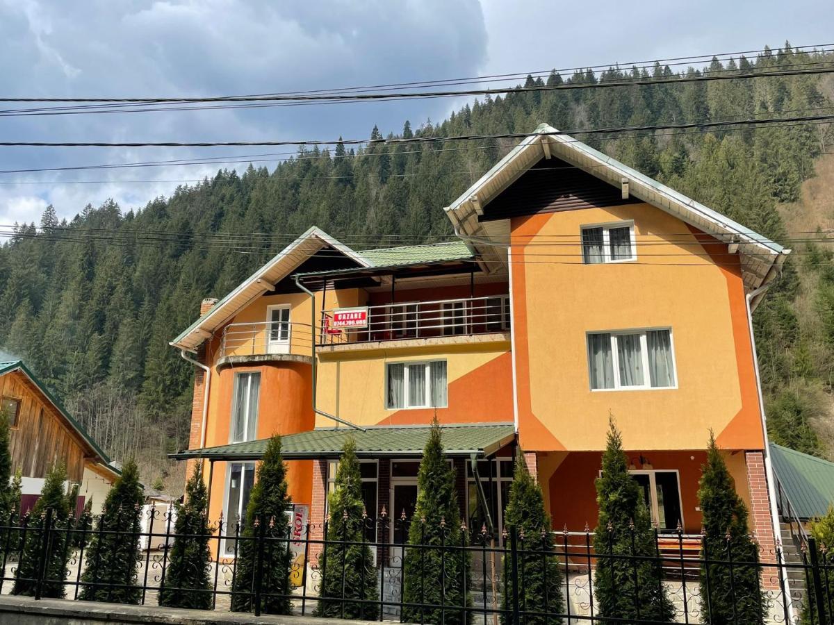 Pensiunea Pe Drumuri De Munte Borca Extérieur photo