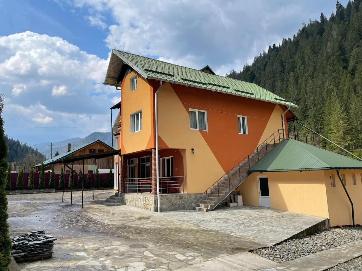 Pensiunea Pe Drumuri De Munte Borca Extérieur photo