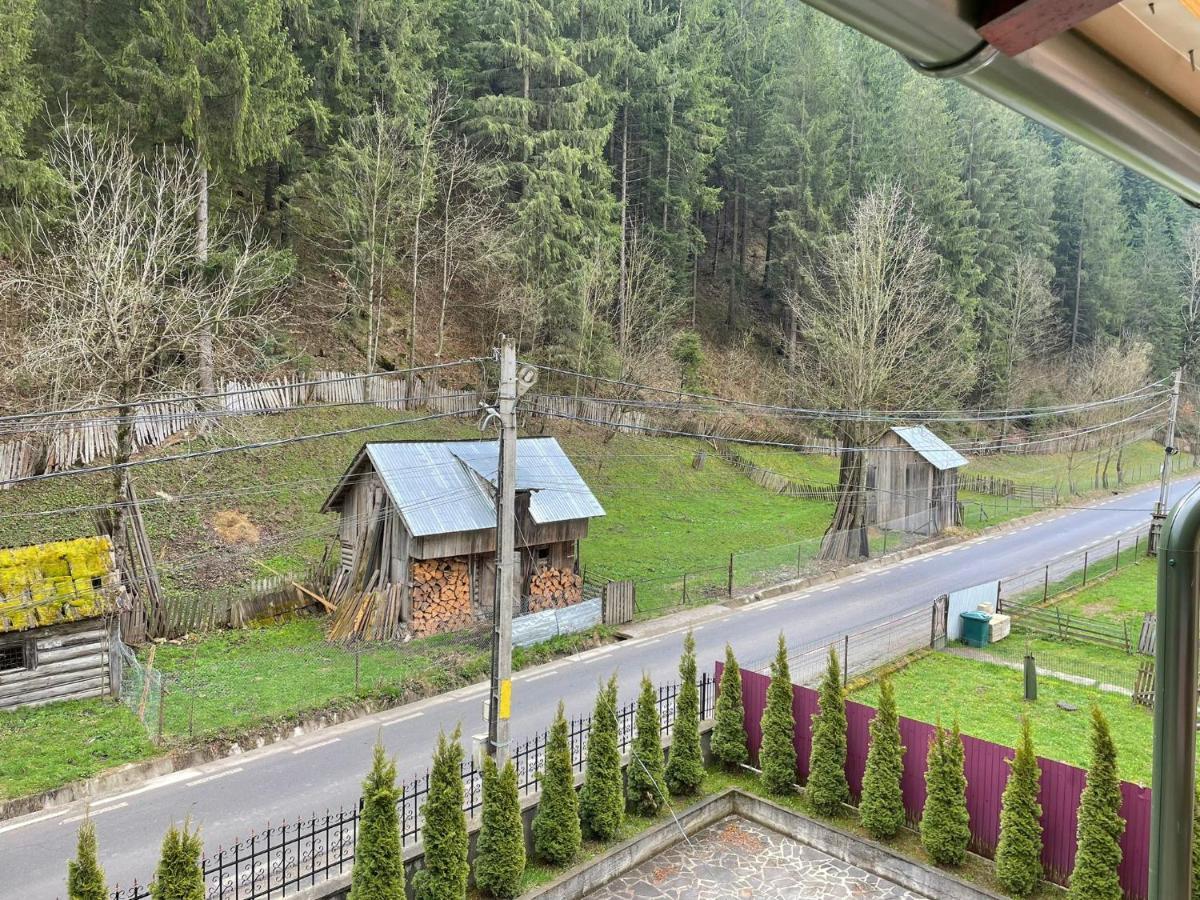 Pensiunea Pe Drumuri De Munte Borca Extérieur photo